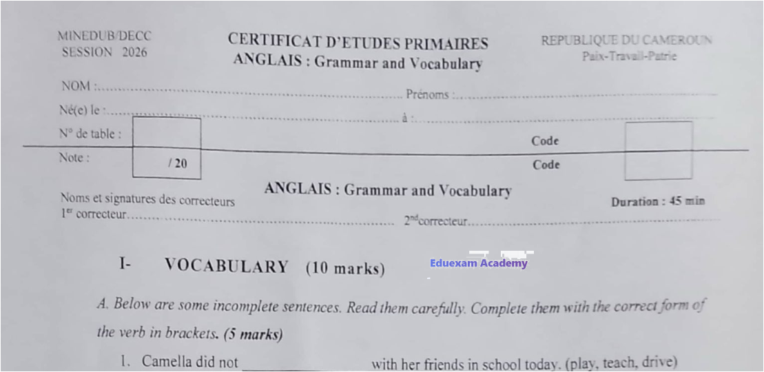 Épreuve CEP Anglais Grammar and Vocabulary 2026 Cameroun - CM2