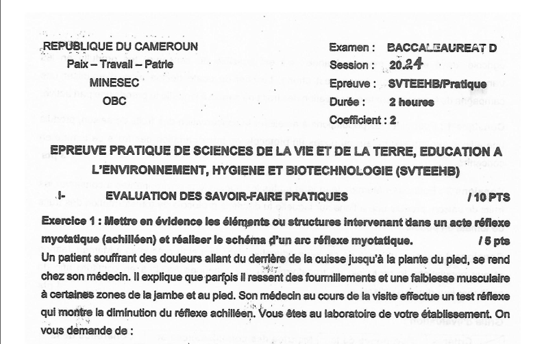 Bac D 2024 - SVT